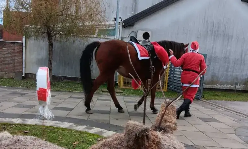 Posjet Djeda Božićnjaka na konju